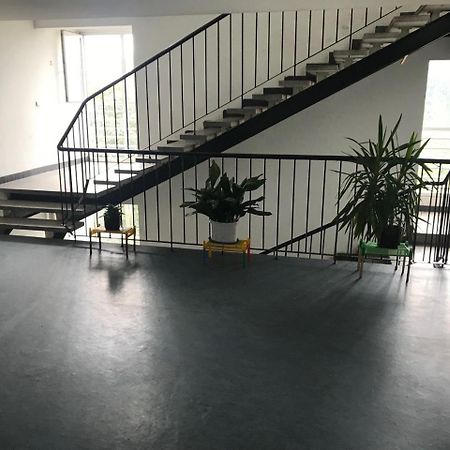 Arena Apartman 贝尔格莱德 外观 照片